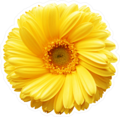 Yellow Autumn Chrysanthemum Sticker