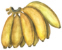 Yellow Banana Bunch Sticker