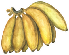 Yellow Banana Bunch Sticker
