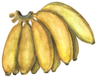 Yellow Banana Bunch Sticker