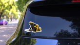 Yellow-banded Poison Dart Frog Sticker on a Rear Car Window (New) example