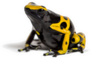 Yellow-banded Poison Dart Frog Sticker