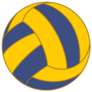 Yellow & Blue Water Polo Sticker