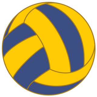Yellow & Blue Water Polo Sticker