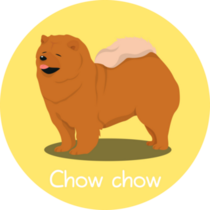 Yellow Chow Chow Sticker
