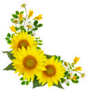 Yellow Daisies Sticker