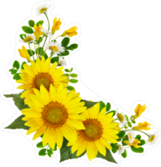 Yellow Daisies Sticker