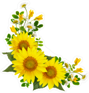 Yellow Daisies Sticker