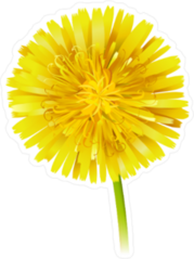 Yellow Dandelion Sticker