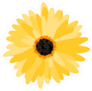 Yellow Gerbera Daisy Sticker