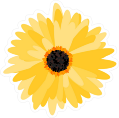 Yellow Gerbera Daisy Sticker