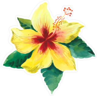 Yellow Hibiscus Flower with Green Leaves Sticker
