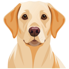Yellow Labrador Face Sticker