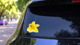 Yellow Lily Flower Sticker on a Rear Car Window (New) example