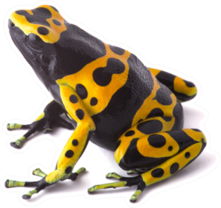 Yellow Poison Dart Frog Sticker