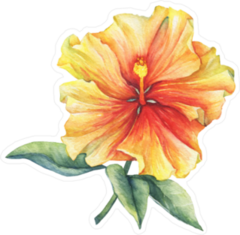 Yellow-Red Hibiscus Flower Sticker