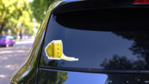 Yellow Rolled Measuring Tape Of Tailor Sticker on a Rear Car Window (New) example
