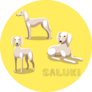 Yellow Saluki Sticker