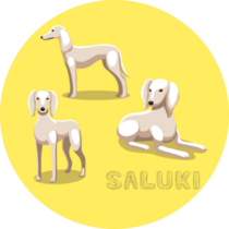 Yellow Saluki Sticker