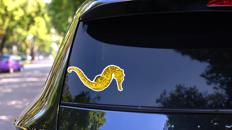 Yellow Seahorse Isolated On White Sticker on a Rear Car Window (New) example