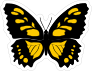 Yellow Spotted Butterfly Sticker