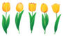Yellow Tulips Set Sticker