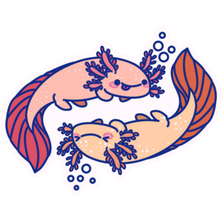 Yin Yang Axolotl Sticker