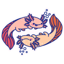 Yin Yang Axolotl Sticker