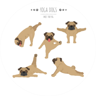Yoga Dogs Poses And Exercises Sticker