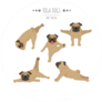 Yoga Dogs Poses And Exercises Sticker