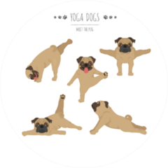 Yoga Dogs Poses And Exercises Sticker