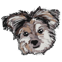 Yorkie Dog Sticker