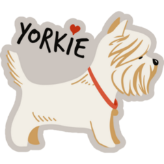 Yorkie Lettering Sticker