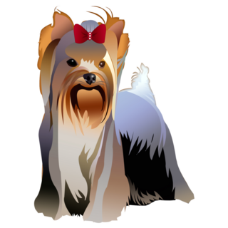 Yorkie Red Bow Sticker