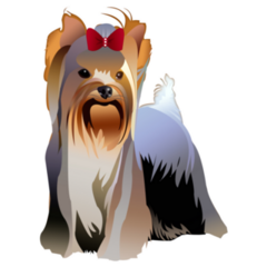 Yorkie Red Bow Sticker