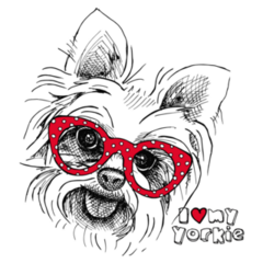 Yorkie Red Polka Dot Sticker