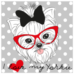 Yorkshire Grey Polka Dots Sticker