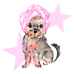 Yorkshire In Towel Sticker