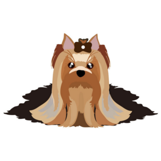 Yorkshire Long Hair Sticker