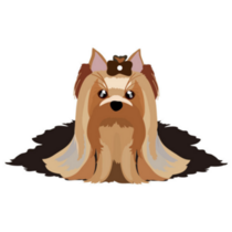 Yorkshire Long Hair Sticker