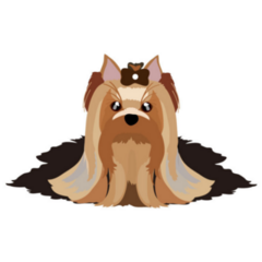 Yorkshire Long Hair Sticker