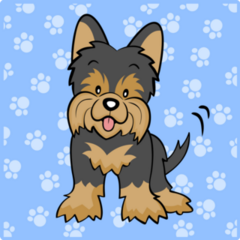 Yorkshire Paw Print Sticker