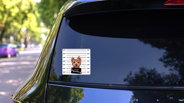 Yorkshire Terrier Criminal Sticker on a Rear Car Window (New) example