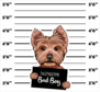 Yorkshire Terrier Criminal Sticker