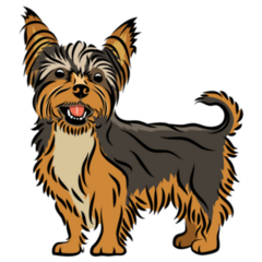 Yorkshire Terrier Full Body Sticker