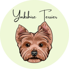Yorkshire Terrier Lettering Sticker