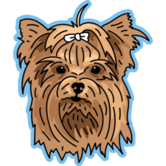 Yorkshire Terrier On Blue Sticker