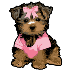 Yorkshire Terrier Pink Shirt Sticker
