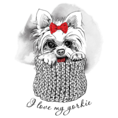 Yorkshire Terrier With Bow Sticker