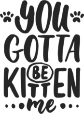 You Gotta Be Kitten Me Sticker